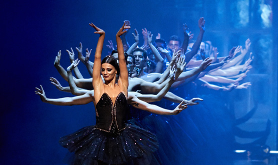 Swan Lake by the Ballet of the National Opera!